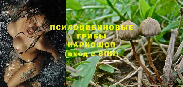 ECSTASY Алексин