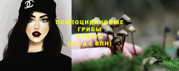 ECSTASY Алексин